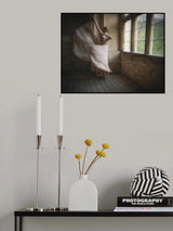 Floating Ballerina Poster och Canvastavla