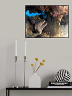 Yellow Mouth Moray Eel Poster och Canvastavla