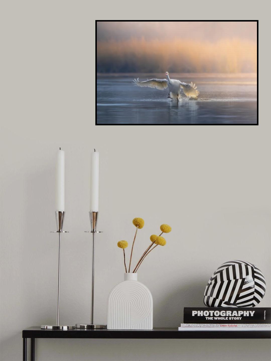 Running on water Poster och Canvastavla