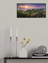 Pine tree on the rock Poster och Canvastavla
