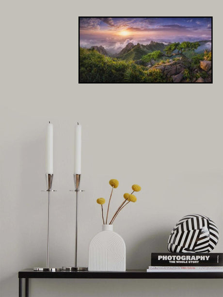 Pine tree on the rock Poster och Canvastavla