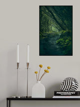 Entering Fangorn Poster och Canvastavla