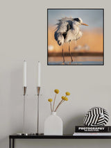 Combing Poster och Canvastavla