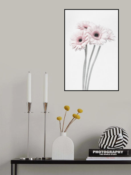 Pink Flowers Poster och Canvastavla