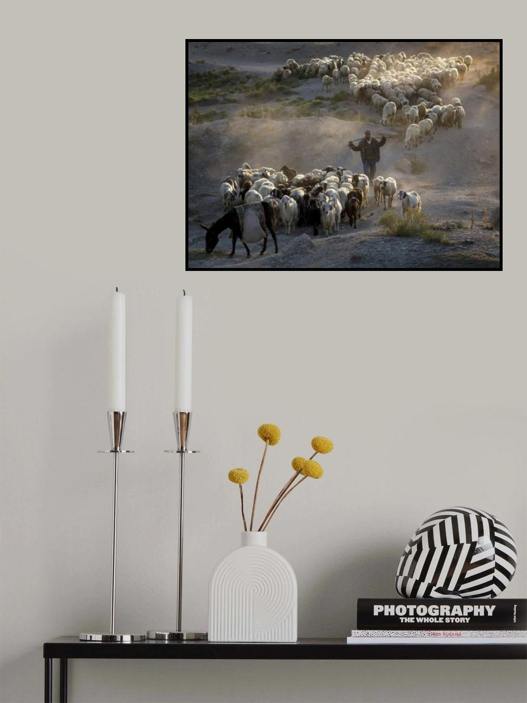 Koyun Sürüsü Poster och Canvastavla