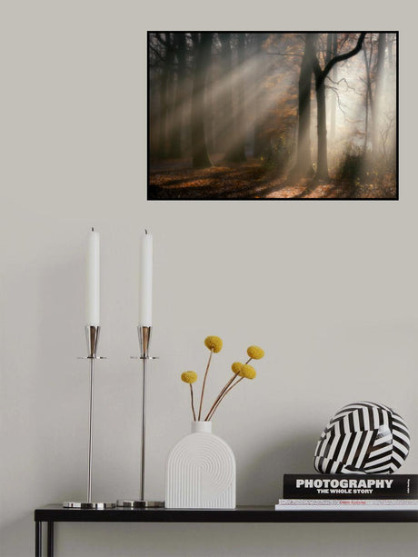Morning-walk Poster och Canvastavla