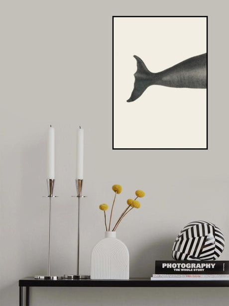 Whale Tight Crop I Handcolored Sealife Lithograph 1824 Poster och Canvastavla