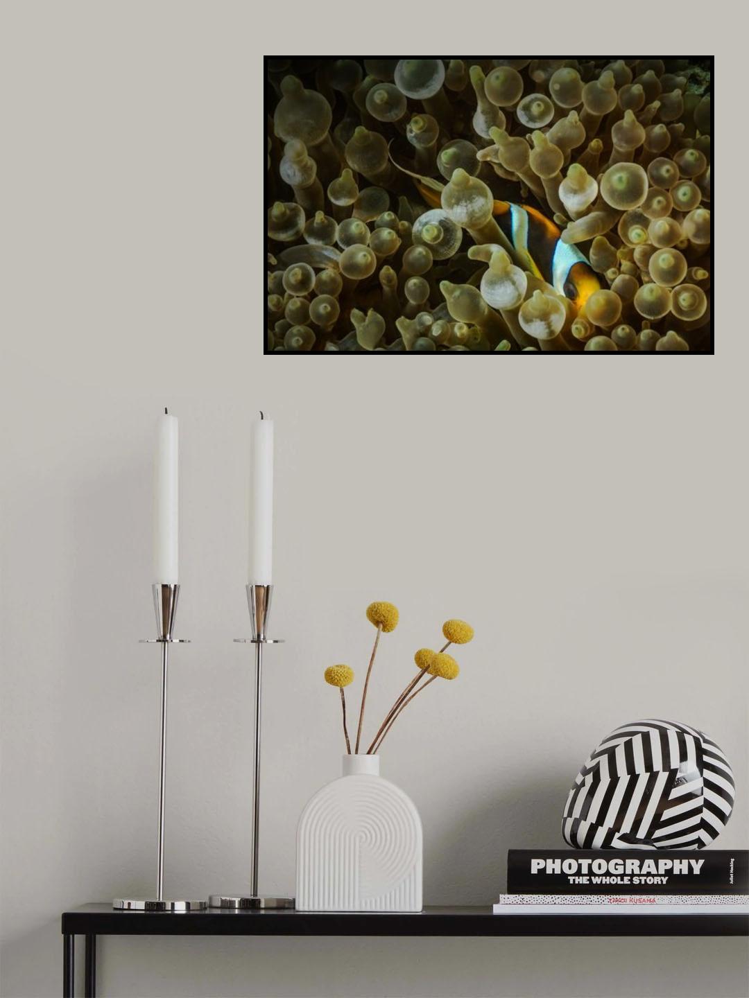 Live there Poster och Canvastavla