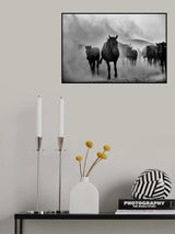 Poster och Canvastavla