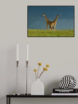 Between the two Poster och Canvastavla