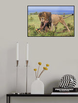 Life vs Death Poster och Canvastavla