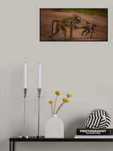Did you look left and right back there? Poster och Canvastavla