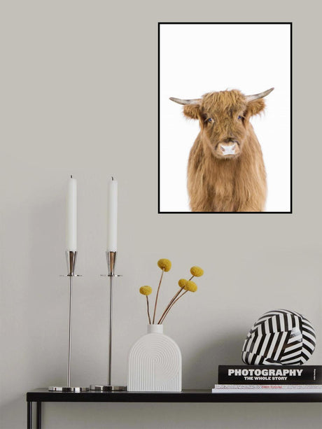 Baby Cow Poster och Canvastavla