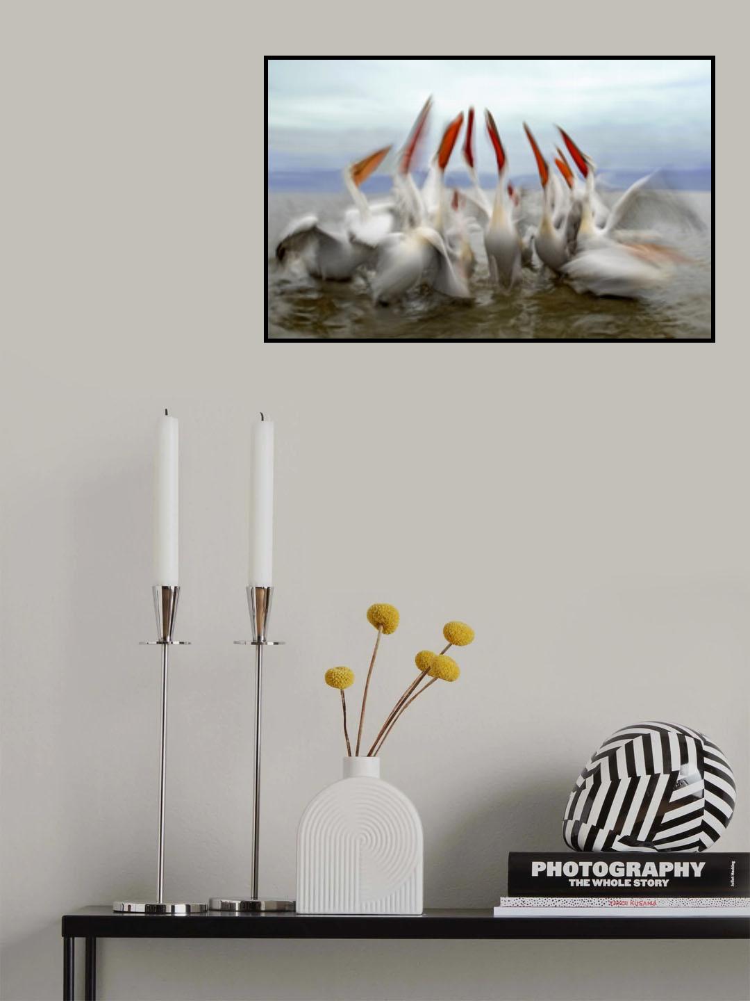 Pelicans in slow motion Poster och Canvastavla