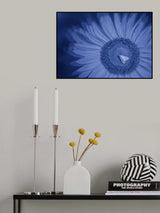 Summer Glow Poster och Canvastavla