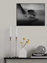Sea Lion Pup with the Mother Poster och Canvastavla