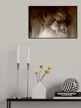 sweet dreams Poster och Canvastavla