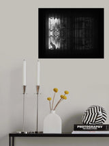 The cat Poster och Canvastavla