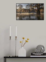 Morning In The Lake Poster och Canvastavla