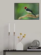 red head Poster och Canvastavla