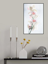 pale beauty Poster och Canvastavla