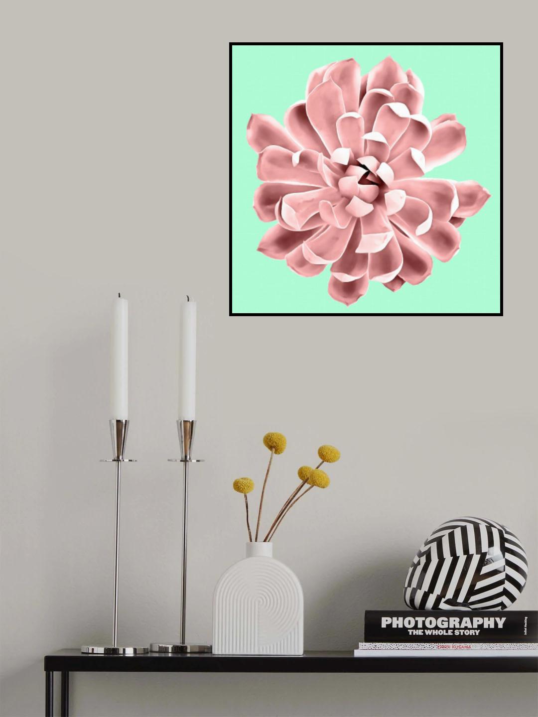 Pink Succulents on Teal Poster och Canvastavla