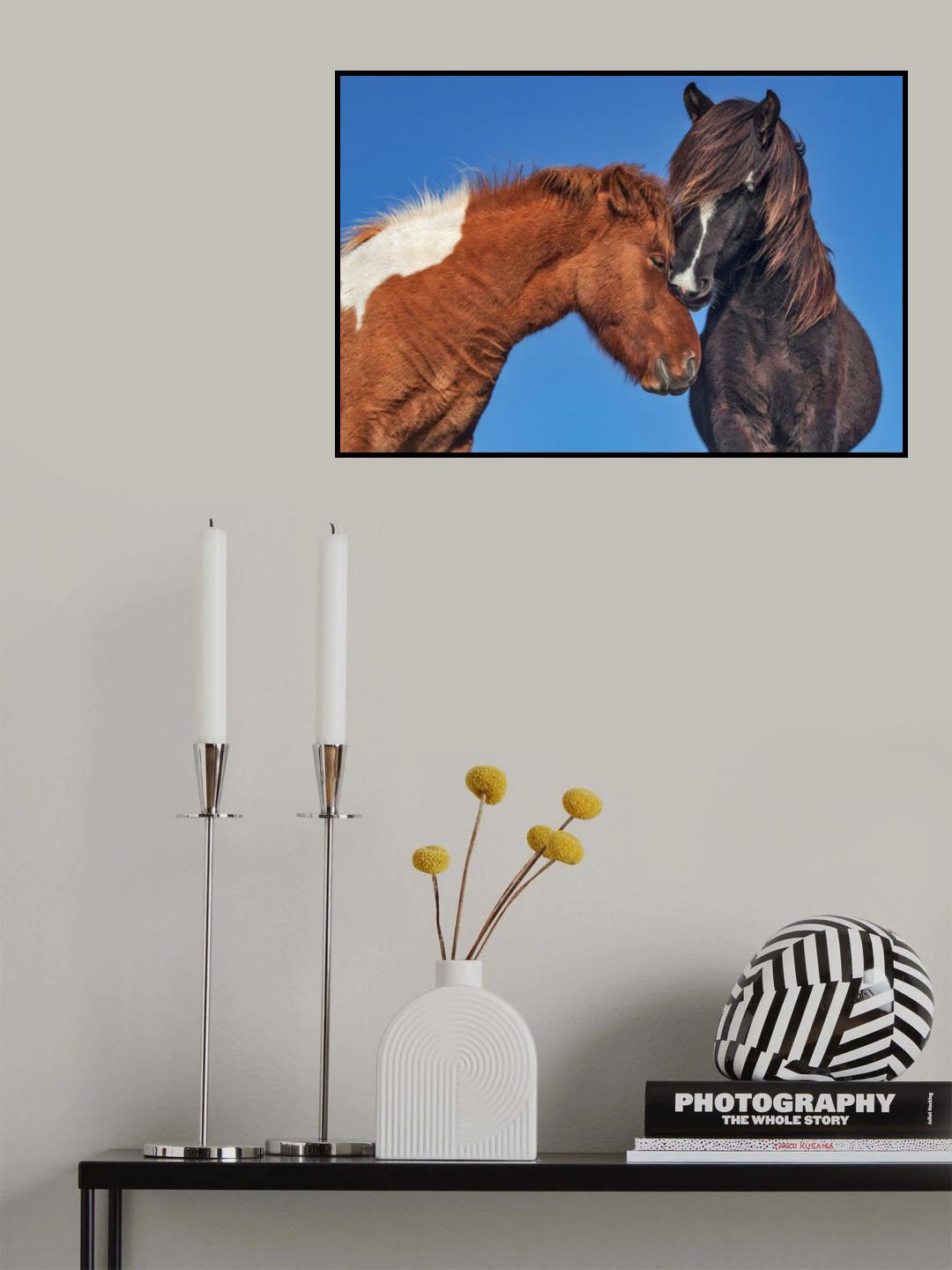 Treat Poster och Canvastavla