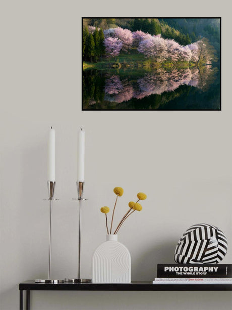Sakura Poster och Canvastavla