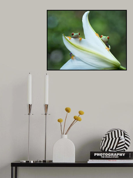 Two frogs Poster och Canvastavla