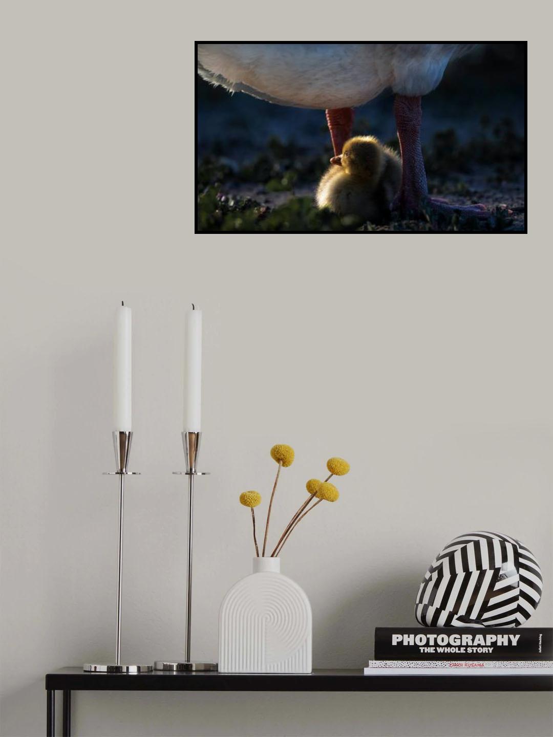 The Outside World Poster och Canvastavla