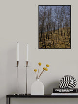 burnt trees in the forest Poster och Canvastavla