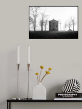 Mist Poster och Canvastavla
