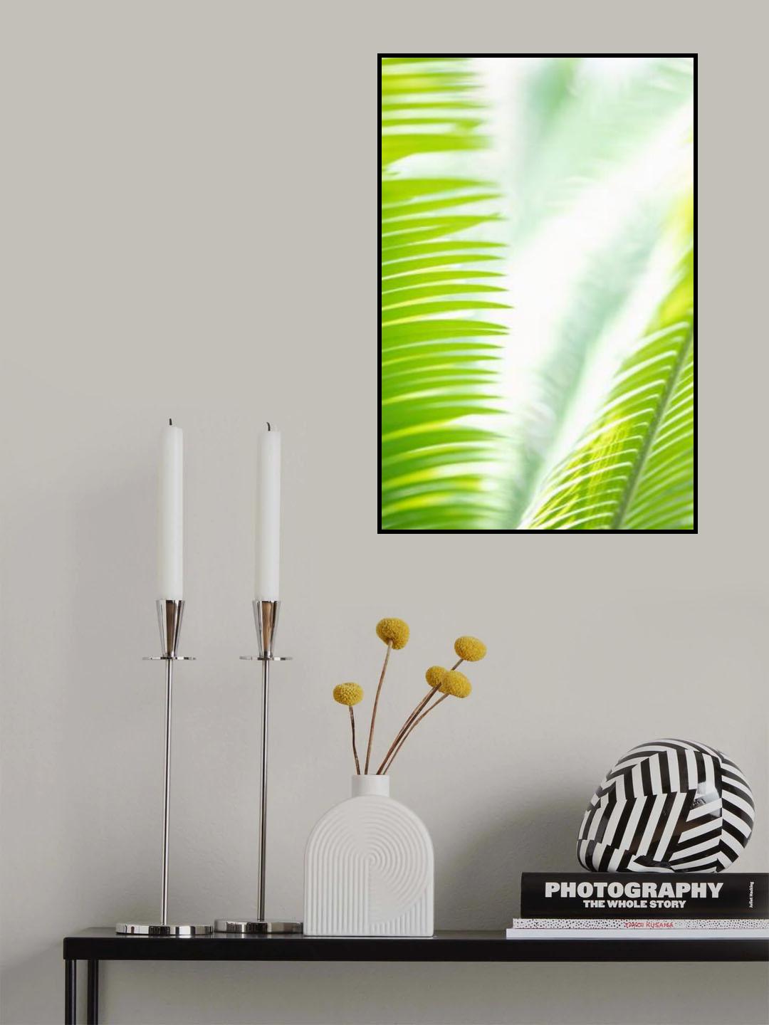 Light Palm tree leaves_1 Poster och Canvastavla