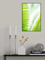 Light Palm tree leaves_1 Poster och Canvastavla