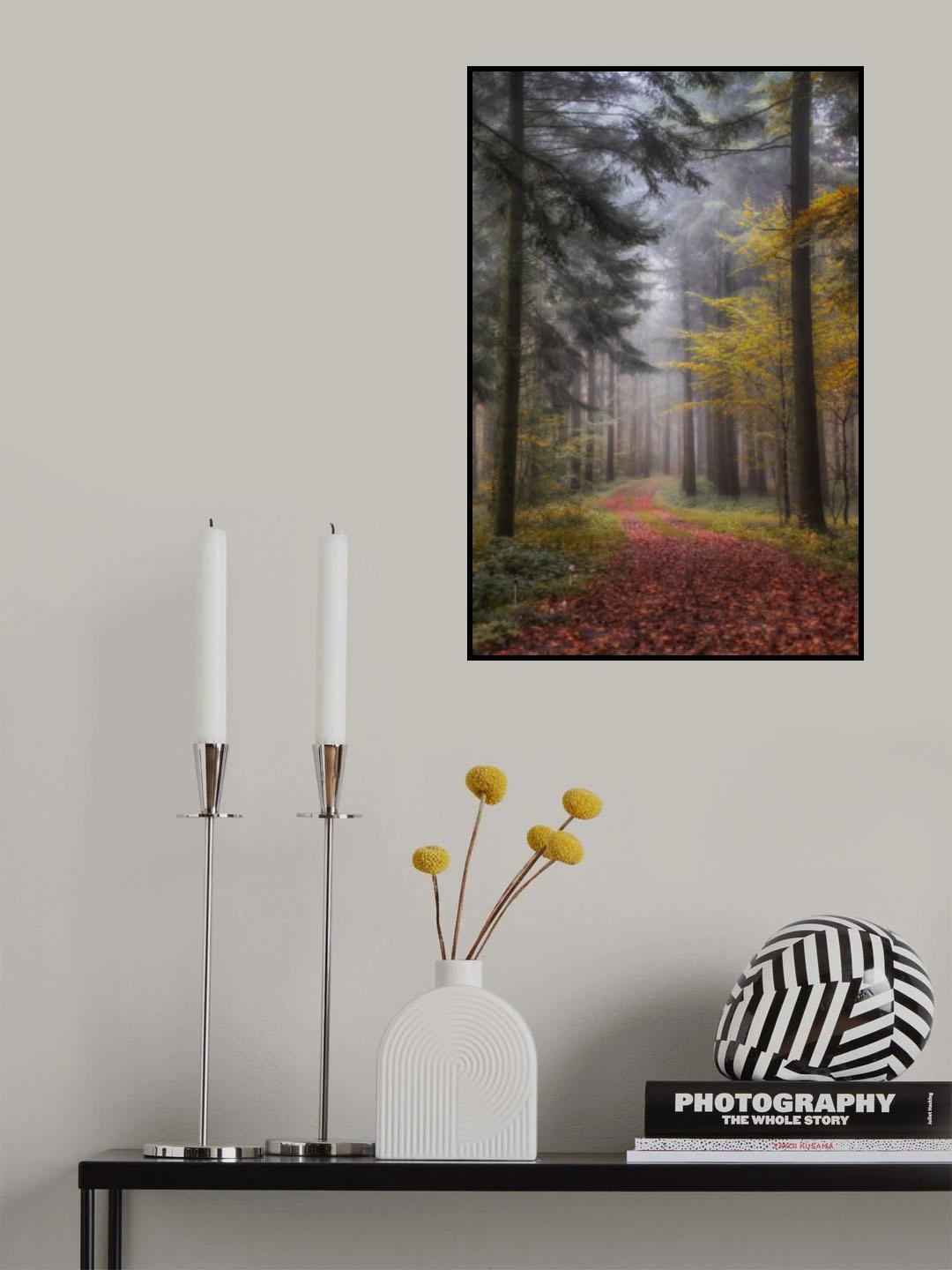 forest path Poster och Canvastavla
