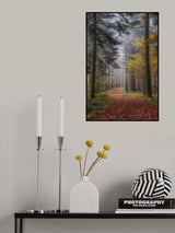 forest path Poster och Canvastavla