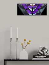 purple bands Poster och Canvastavla