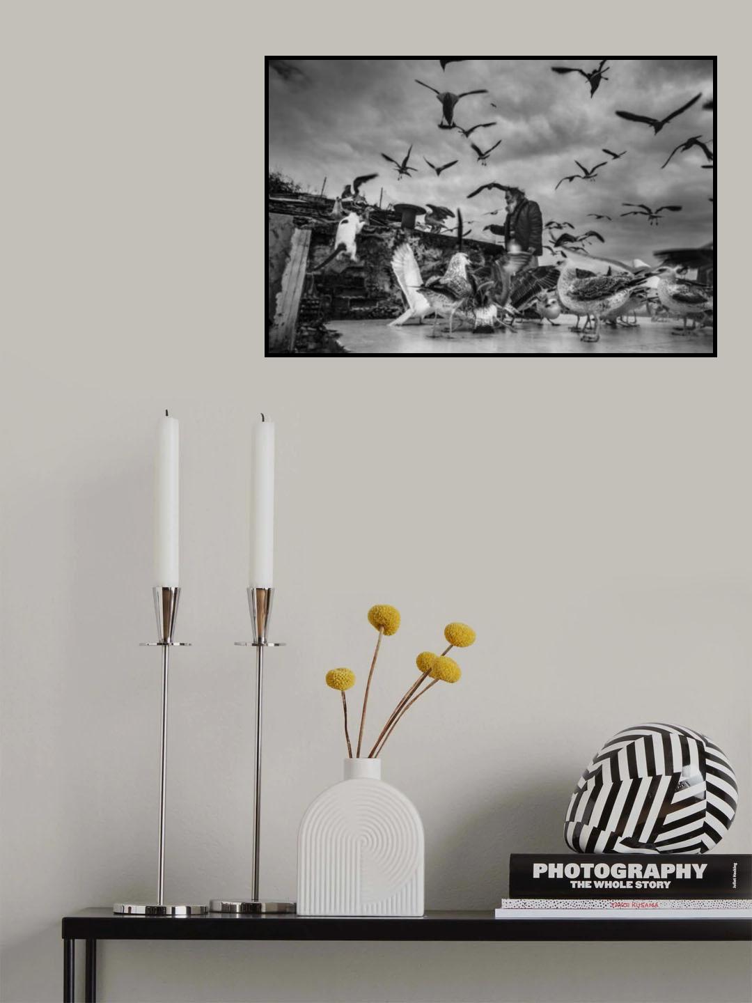 man who loves seagulls Poster och Canvastavla
