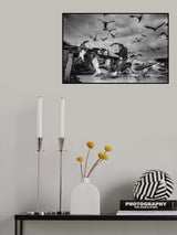 man who loves seagulls Poster och Canvastavla