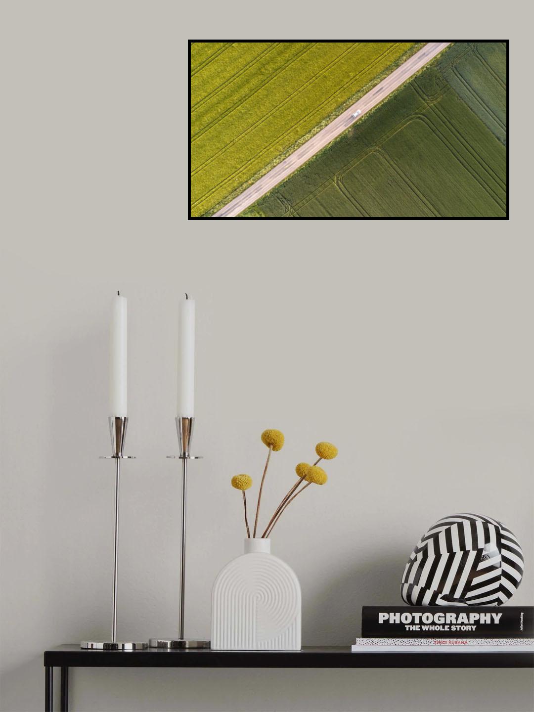 Lines Poster och Canvastavla