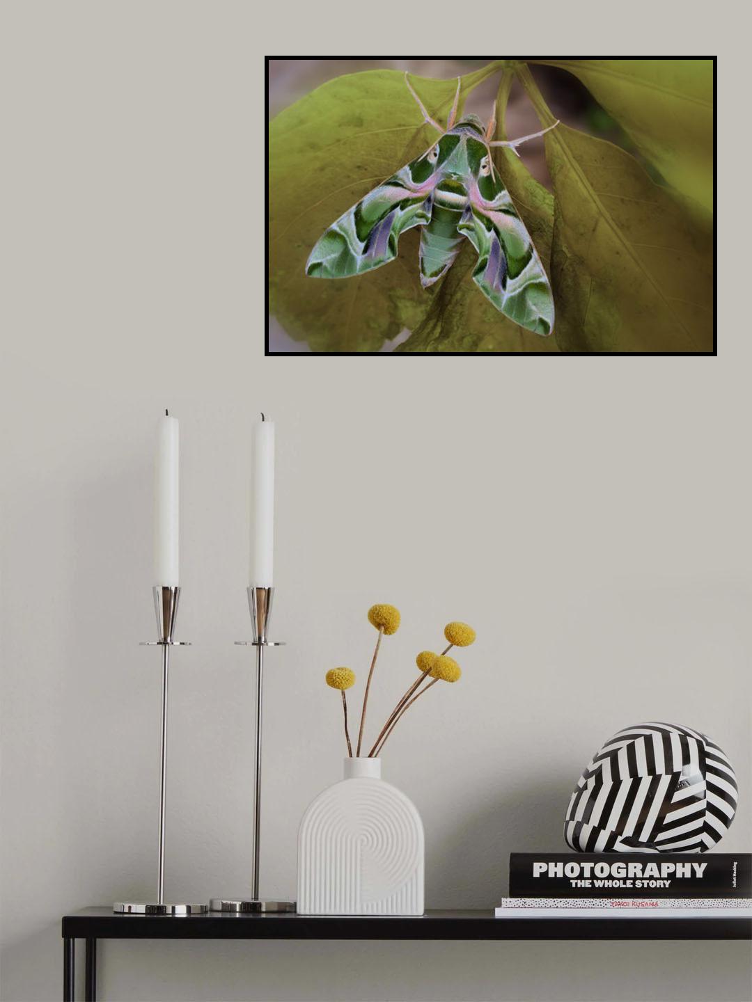 Cryptic Poster och Canvastavla