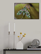 Cryptic Poster och Canvastavla