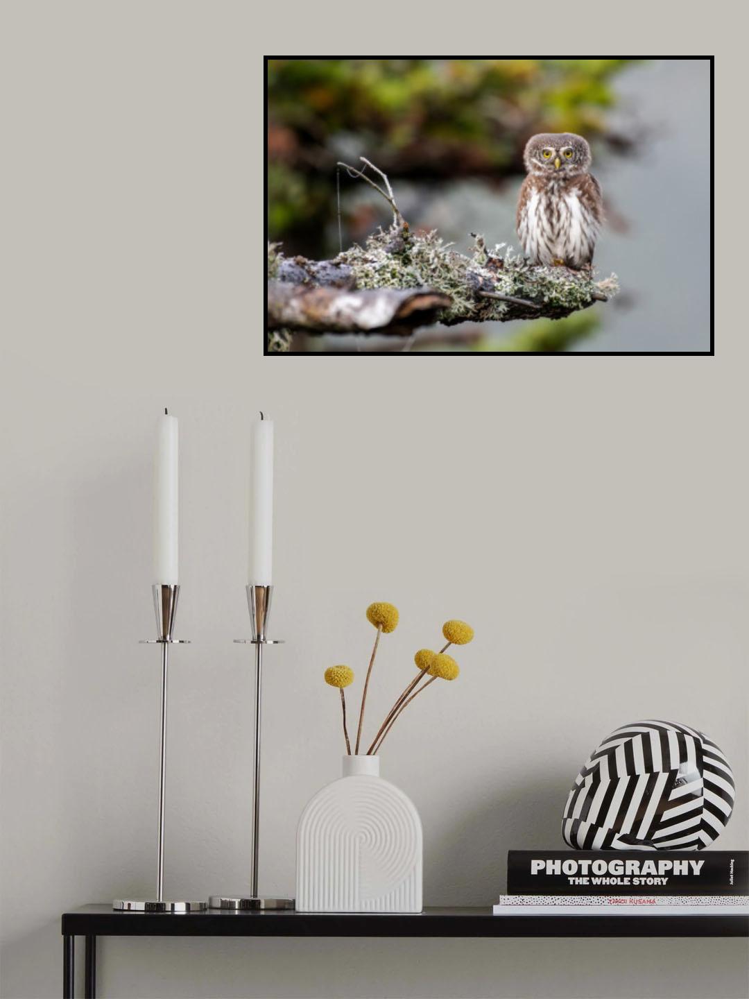 The little one Poster och Canvastavla