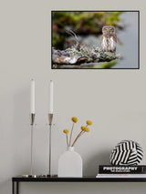The little one Poster och Canvastavla