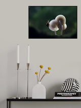 In The Dark Poster och Canvastavla