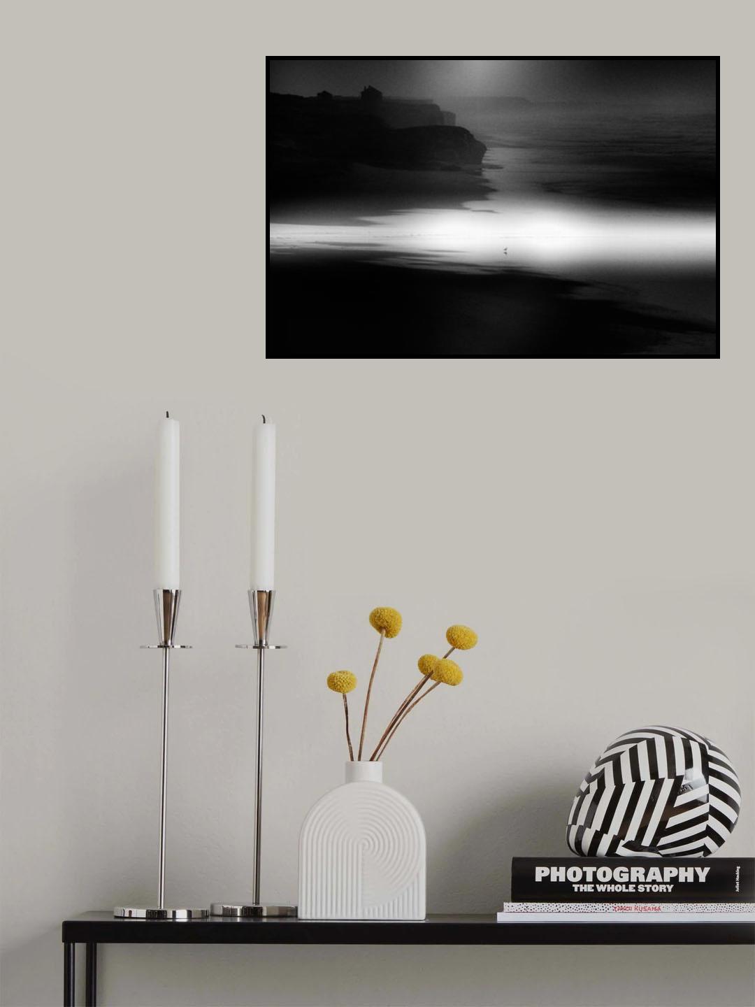 Birds on the beach Poster och Canvastavla