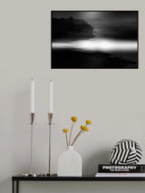 Birds on the beach Poster och Canvastavla