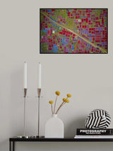 Largest red chilli field Poster och Canvastavla