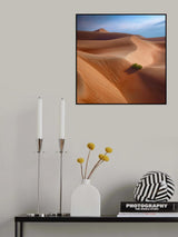 Dunes and Patterns 7R41610 Poster och Canvastavla