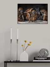Family Scene - Papio Papio Poster och Canvastavla